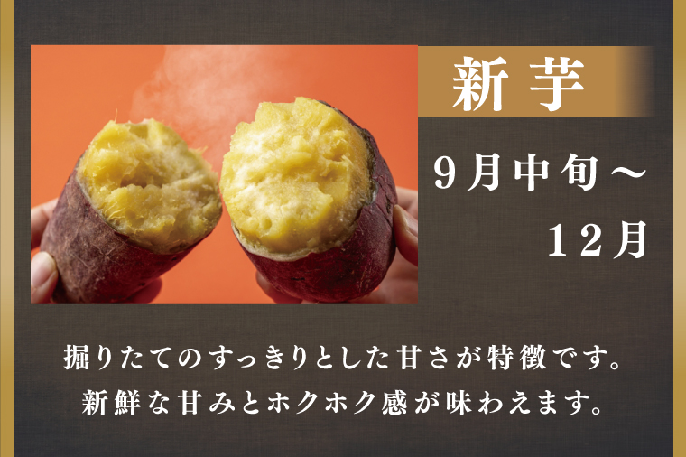 CU-168 【訳あり】無選別 行方台地のさつまいも 紅はるか20kg｜ふるラボ