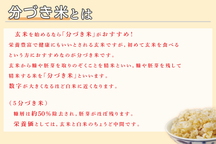 CZ-7 真空包装 こしひかり【７分づき米・５分づき米食べ比べ