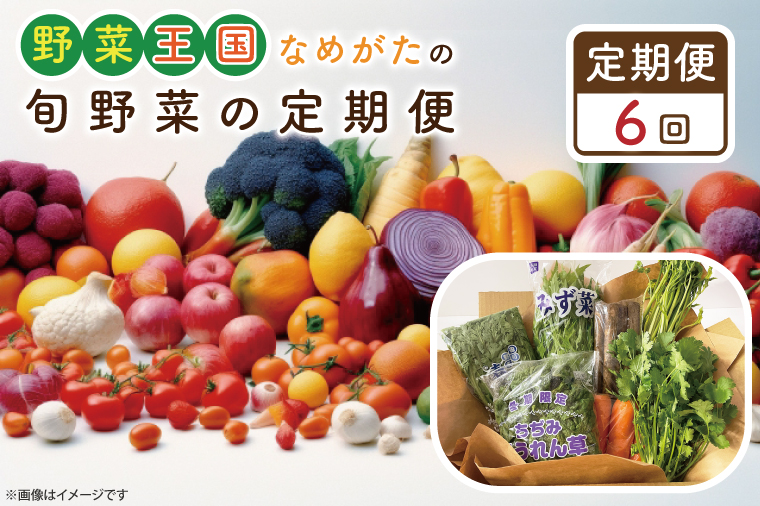 CU-129　【6ヶ月定期便】野菜王国なめがたの旬野菜の定期便
