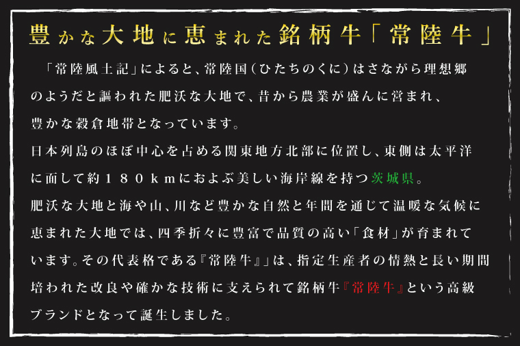 DT-37【常陸牛A5ランク・美明豚ステーキ焼肉セット】常陸牛サーロイン