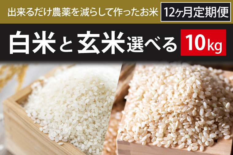 BI-86 12ヶ月定期便【できるだけ農薬を減らして作ったお米】白米または玄米　10kg×12回