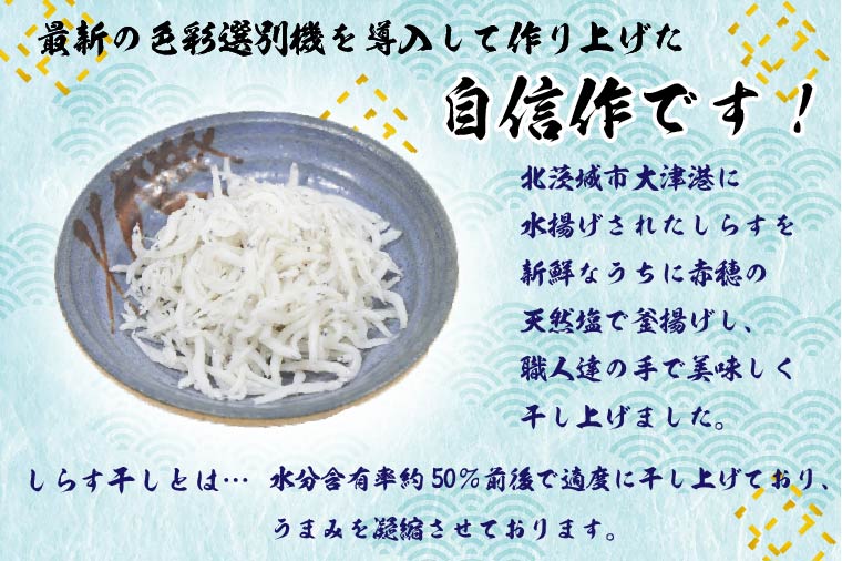 DS-6【茨城県共通返礼品／北茨城市】大津港水揚げのしらす干し2kg（1kg