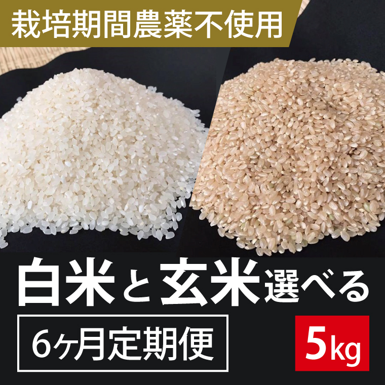 BI-65 6ヶ月定期便【栽培期間農薬不使用】白米または玄米　5kg×6回