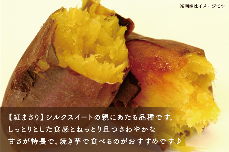 AE-71 冷凍焼き芋 4種セット（紅優甘、紅まさり、行方の紫福、ひめ ...