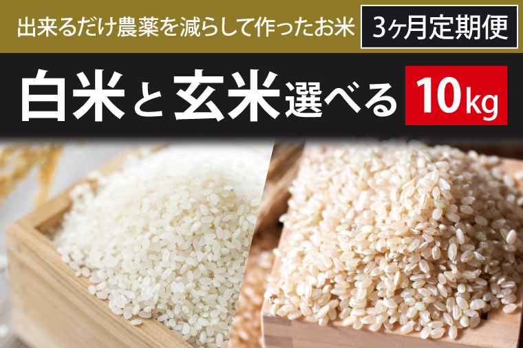 BI-82 3ヶ月定期便【できるだけ農薬を減らして作ったお米】白米または玄米　10kg×3回