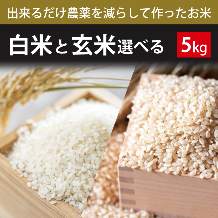 BI-72 【できるだけ農薬を減らして作ったお米】白米または玄米　5kg