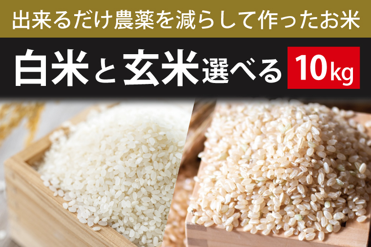 BI-74 【できるだけ農薬を減らして作ったお米】白米または玄米　10kg