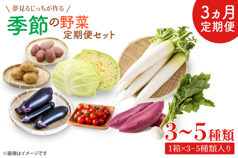 CN-6 【3ヶ月定期便】 夢見るじっちが作る季節の野菜セット 3〜5種類入り1箱