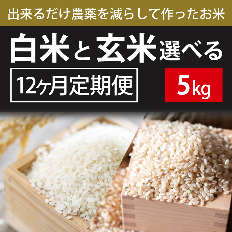 BI-80 12ヶ月定期便【できるだけ農薬を減らして作ったお米】白米または玄米　5kg×12回
