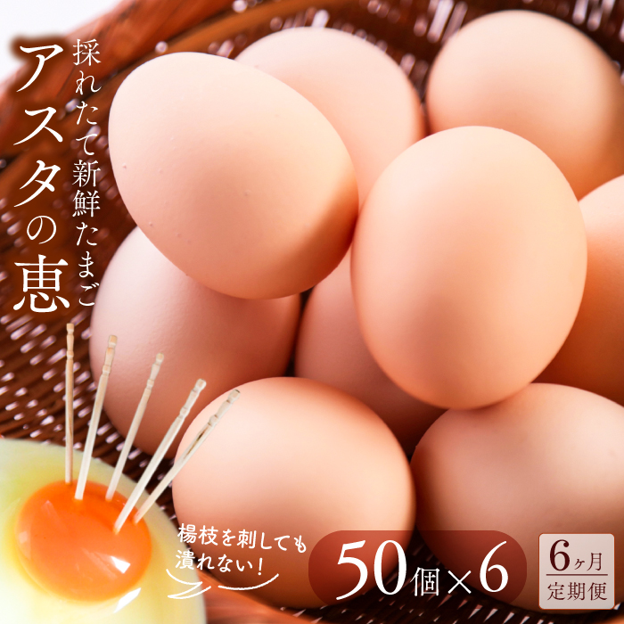 U-5 ◆6ヵ月定期便◆ 黄身がしっかり濃厚な卵【アスタの恵み】50個×6