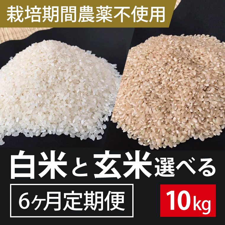 BI-69 6ヶ月定期便【栽培期間農薬不使用】白米または玄米　　10kg×6回
