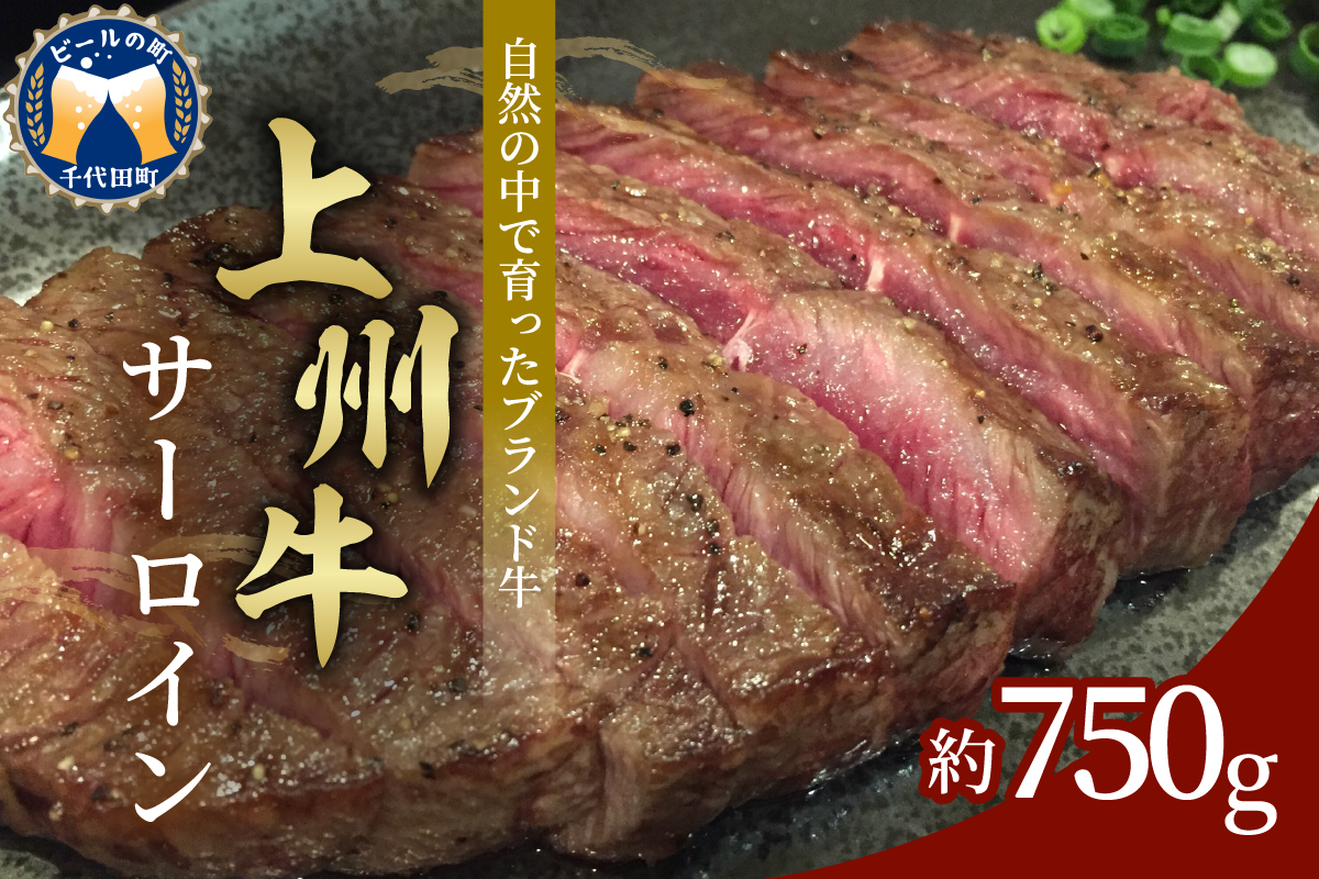 牛肉 ステーキ サーロイン [上州牛] 750g 群馬 県 千代田町