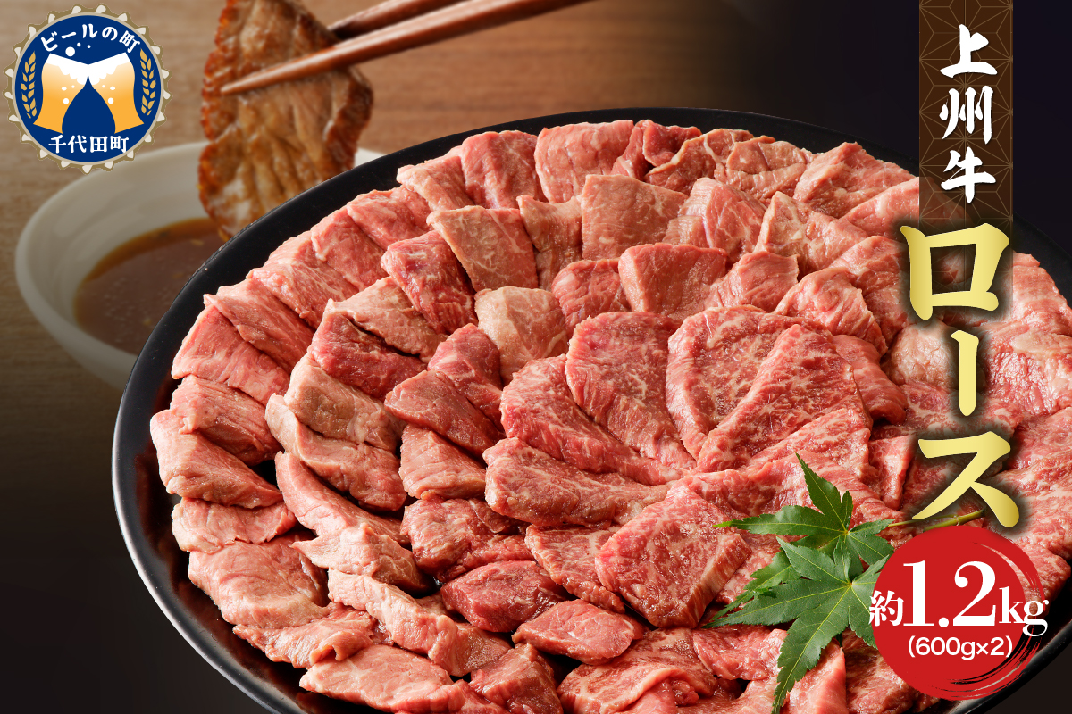 牛肉 ロース [上州牛] 1.2kg(600g×2パック) 群馬 県 千代田町