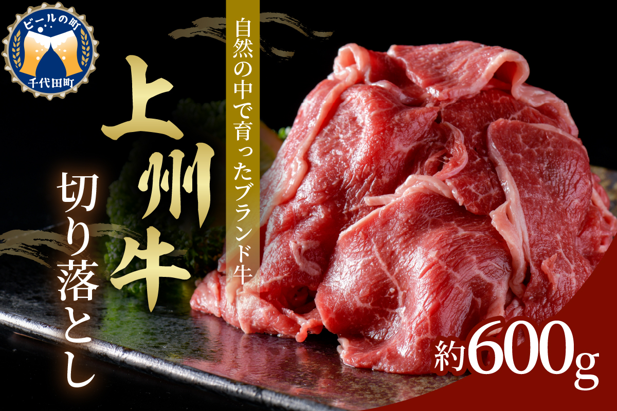 牛肉 切り落とし [上州牛] 600g 群馬県 産 千代田町