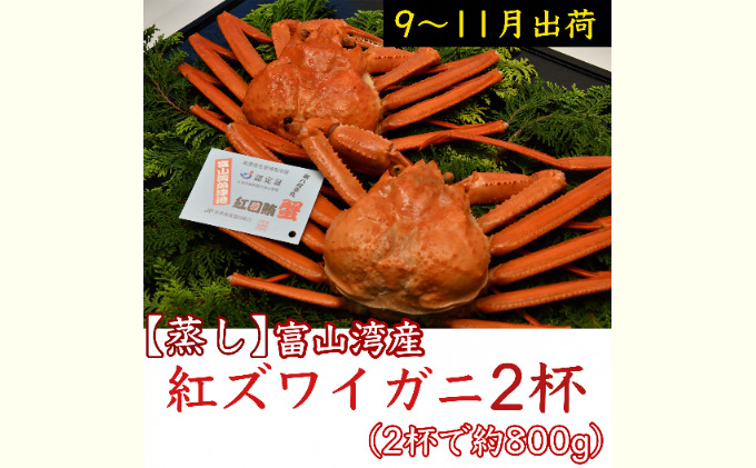 訳あり】北海道噴火湾産活ずわいがに1.5kg詰め込みセット ＜道産ネットミツハシ＞ かに カニ 蟹 ガニ がに 森町 ふるさと納税 北海道 ずわいがに  F4C-0296｜ふるラボ