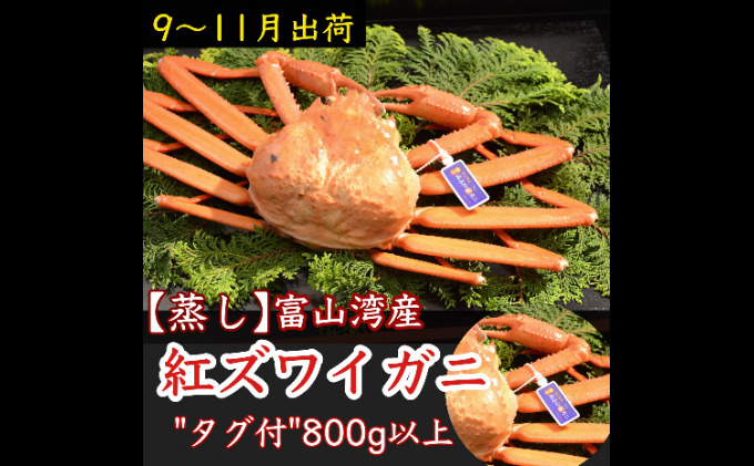 訳あり】北海道噴火湾産活ずわいがに1.5kg詰め込みセット ＜道産ネットミツハシ＞ かに カニ 蟹 ガニ がに 森町 ふるさと納税 北海道 ずわいがに  F4C-0296｜ふるラボ