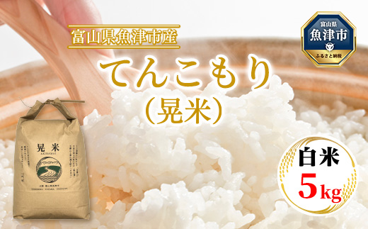 [令和6年度米]環境配慮「魚津のてんこもり(晃米)」5kg(白米) | MK農産 白米 銘柄米 ご飯 おにぎり お弁当 和食 主食 国産 産地直送 甘み 香り もちもち ※2024年10月下旬頃より順次発送予定 ※北海道・沖縄・離島への配送不可