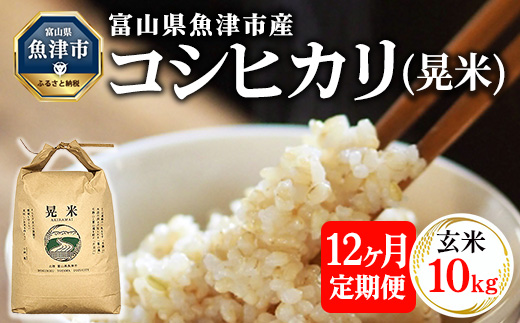 【12ヶ月定期便】【令和6年度米】「魚津のコシヒカリ（晃米）」10kg（玄米） ｜ 環境配慮 MK農産 お米 ブランド米 銘柄米 玄米 ご飯 おにぎり 産地直送 甘み 旨味 香り ※2024年9月中旬頃より順次発送予定 ※北海道・沖縄・離島への配送不可