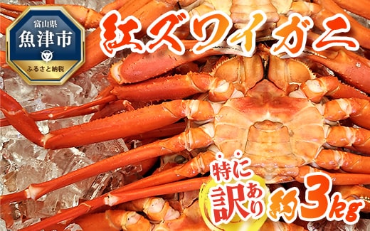 【特に訳あり】魚卸問屋のベニズワイガニ 約3kg　※2023年10月上旬〜2024年5月下旬頃に順次発送予定