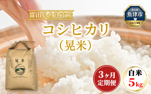 [3ヶ月定期便][令和6年度米]「魚津のコシヒカリ(晃米)」5kg(白米) | 環境配慮 MK農産 お米 ブランド米 銘柄米 精米 ご飯 おにぎり 産地直送 甘み 旨味 香り ※2024年9月中旬頃より順次発送予定 ※北海道・沖縄・離島への配送不可