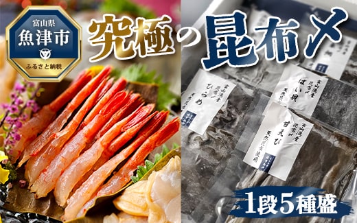 究極の昆布〆、1段5種盛（急速冷凍品）魚卸問屋はりたや 富山県魚津市 昆布締め こぶじめ 刺身 天然昆布 ※北海道・沖縄・離島への配送不可