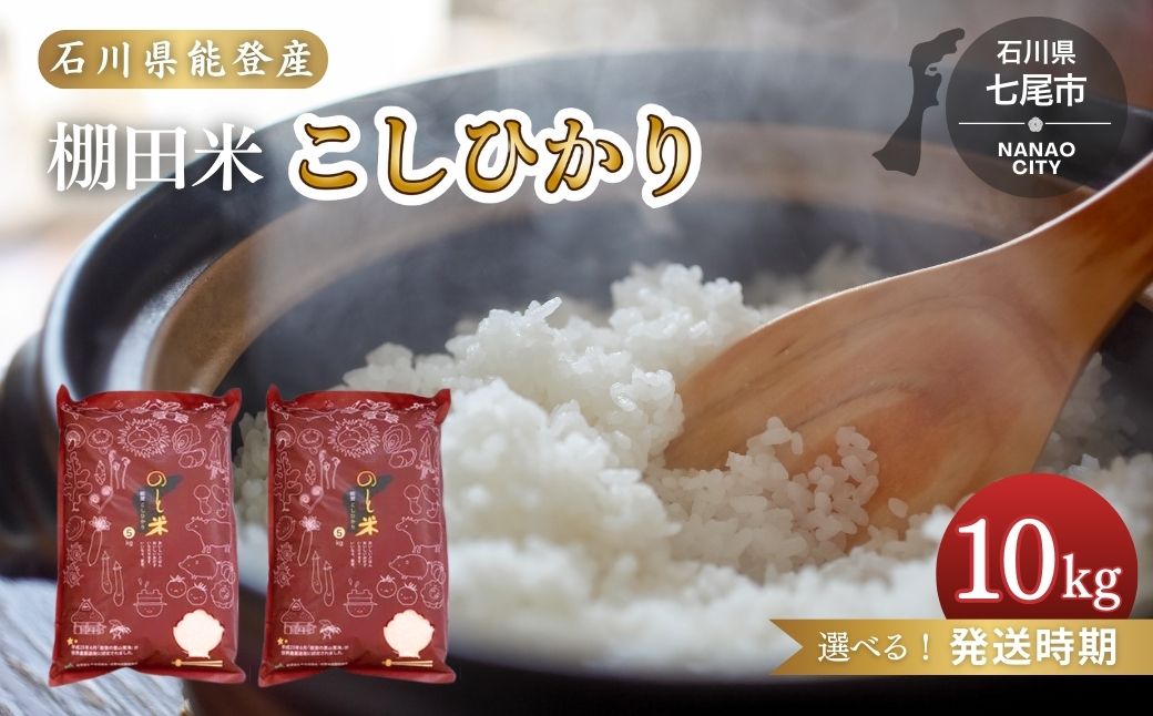 【発送時期が選べる】令和6年産 コシヒカリ 能登米 (5kg×2袋) ◇ ｜ 世界農業遺産に認定された『能登の里山里海』で育まれたお米 国産 石川県 七尾市 ※2024年11月下旬～2025年6月下旬頃に順次発送予定