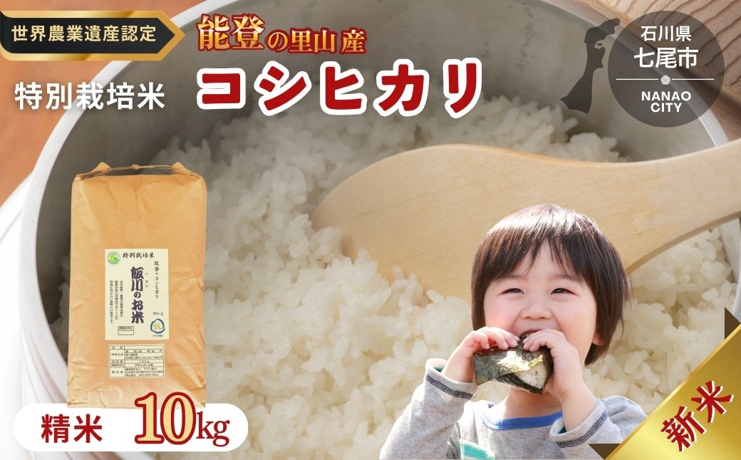 米 /能登のコシヒカリ 飯川のお米 10kg（精米10kg×1袋）特別栽培米 ※2024年10月中旬～2025年3月下旬頃に順次発送予定 石川県 七尾市 ｜ふるラボ