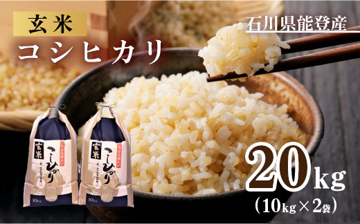 米 玄米 20kg/石川県能登産こしひかり 玄米20kg（10kg×2袋）/日本初