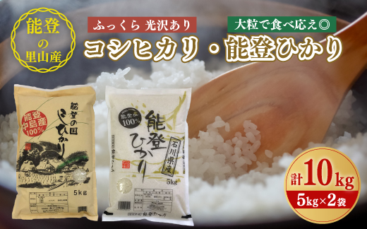 発送時期が選べる】【新米】石川県七尾産精米コシヒカリ5kg・能登