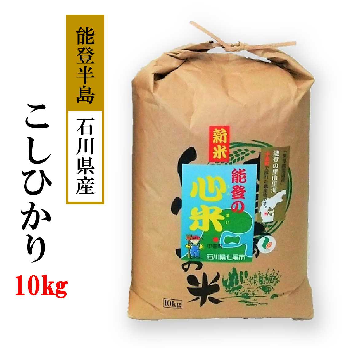 米　精米　10kg