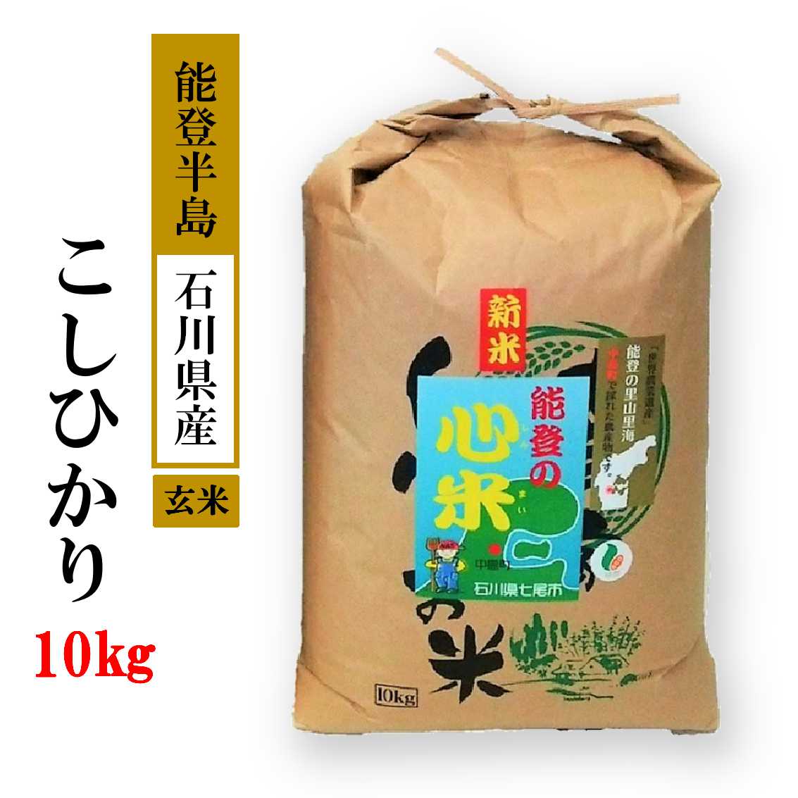米 玄米 10kg / こしひかり 能登の心米(玄米10kg)/10kg×1袋 ※2024年10月中旬頃より順次発送予定