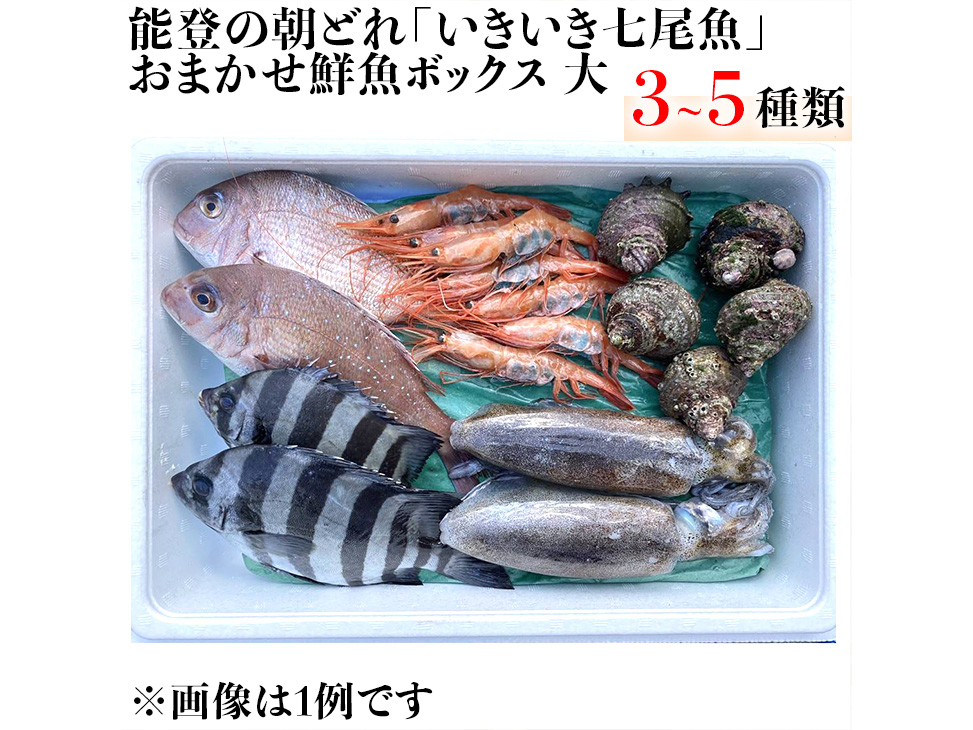 能登の朝どれ「いきいき七尾魚」おまかせ鮮魚ボックス 大（3～5種類）（下処理なし） ｜ 魚 新鮮 詰め合わせ ※北海道・青森・沖縄・離島及び九州（福岡県を除く）配送に2日以上かかる地域へのお届け不可