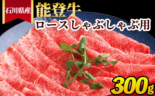 石川県産 能登牛 ロースしゃぶしゃぶ用 300g ※2025年1月以降に順次発送予定