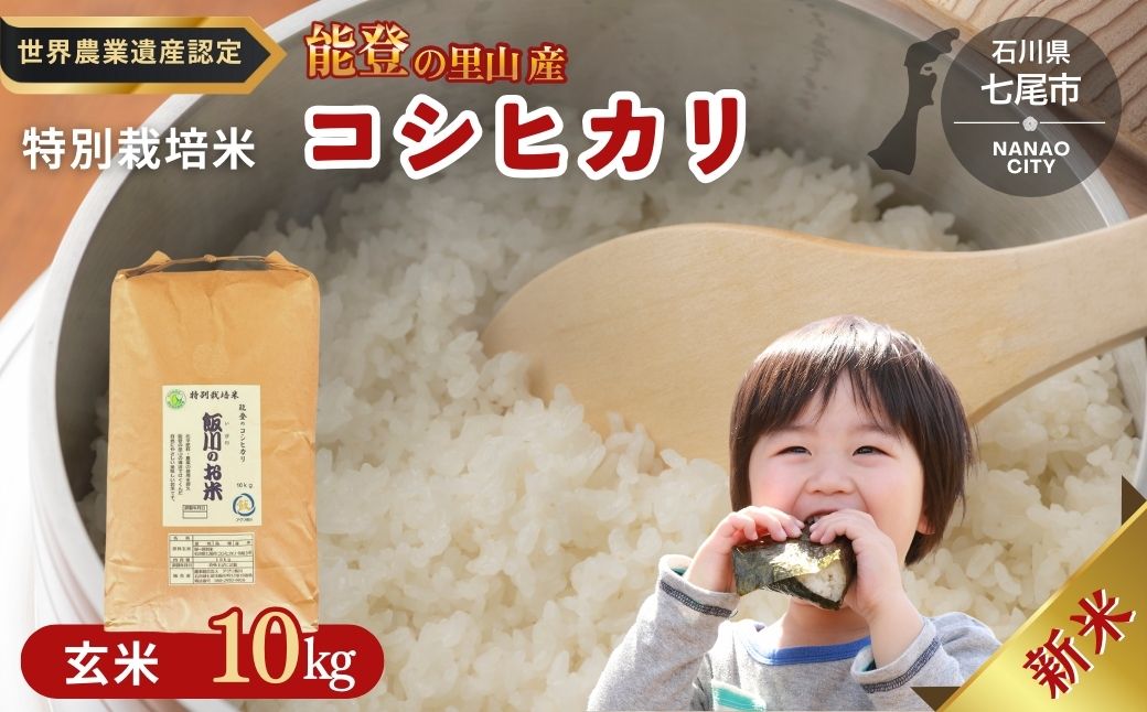 米 玄米 /能登のコシヒカリ　飯川のお米　10kg（玄米10kg×1袋）特別栽培米 ※2024年10月中旬～2025年3月下旬頃に順次発送予定 石川県 七尾市