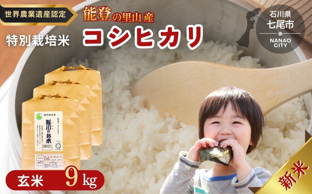 米 玄米 /能登のコシヒカリ　飯川のお米 9kg（玄米3kg×3袋）特別栽培米 ※2024年10月中旬～2025年3月下旬頃に順次発送予定 石川県 七尾市