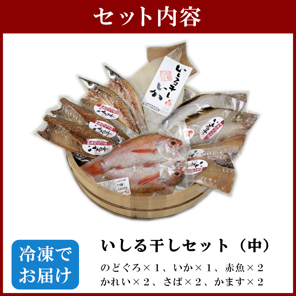 定番から日本未入荷 中 いしる干し 冷凍 干物 セット 魚介類・水産加工品