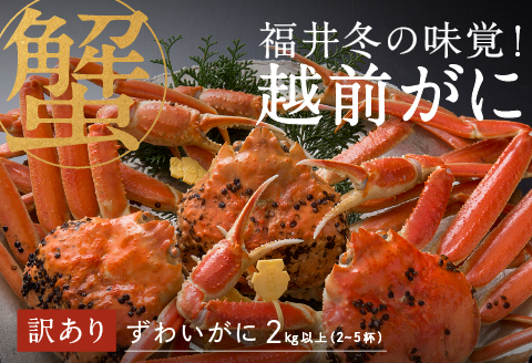 産地直送】福井の冬の王様！【訳あり】越前がに 合計2kg以上（2〜5杯