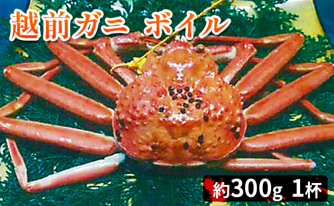 人気商品】 10-407 流氷明け浜ゆで毛ガニ約400g fucoa.cl