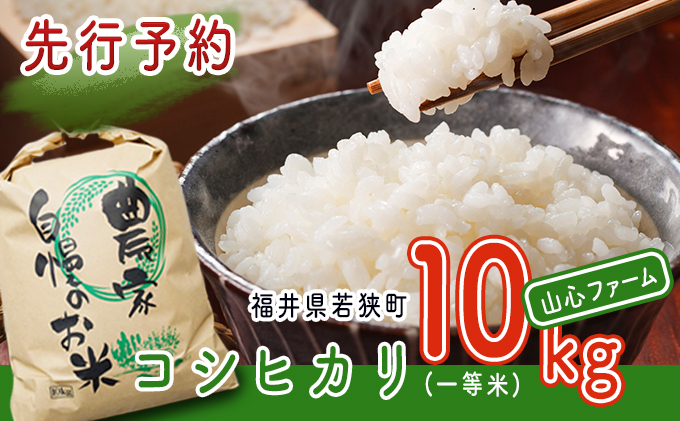 米 令和5年 コシヒカリ 10kg 一等米 お米 おこめ こめ コメ 白米 精米