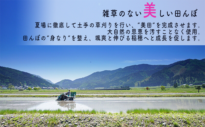 令和4年産 福井県若狭町コシヒカリ（一等米）10kg（山心ファーム）｜ふるラボ