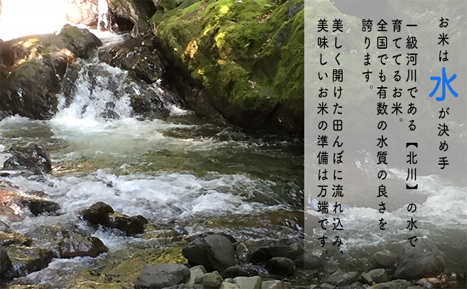 令和4年産 福井県若狭町コシヒカリ（一等米）10kg（山心ファーム）｜ふるラボ