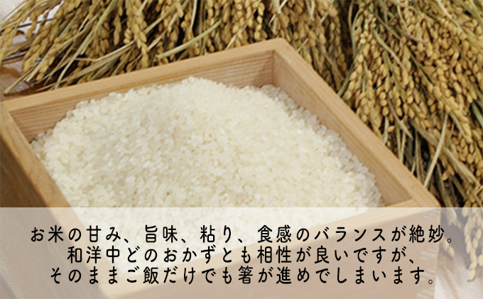 令和4年産 福井県若狭町コシヒカリ（一等米）10kg（山心ファーム）｜ふるラボ