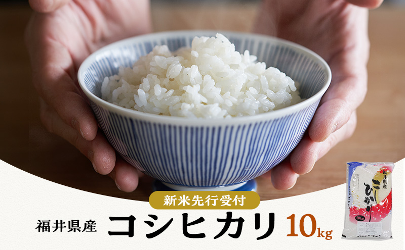 米 コシヒカリ 10kg 産地直送 一等米 お米 白米 精米 新米 ご飯 10キロ おこめ こめ コメ ごはん こしひかり 福井県 福井 若狭町 若狭  送料無料 令和6年 令和6年産 2024年 発送 年内発送｜ふるラボ