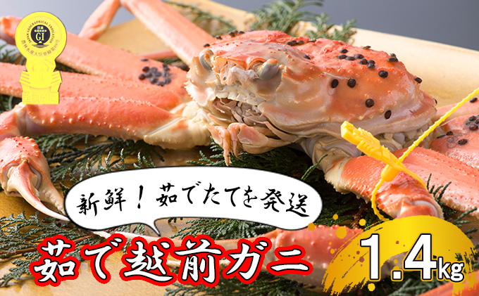 茹で越前ガニ【期間限定】食通もうなる本場の味をぜひ、ご堪能ください