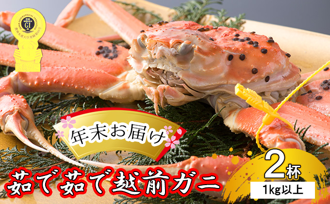 茹で 越前ガニ 約1kg以上 2杯 年末配送 食通もうなる本場の味をぜひ、ご堪能ください 越前かに 蟹 カニ かに ボイルカニ ボイル蟹 ポーション ズワイガニ ずわい蟹 海鮮 福井 福井県 若狭町