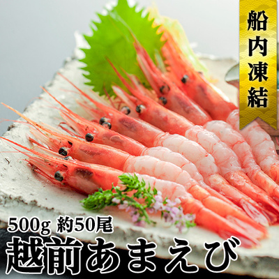 【数量限定】日本海甘えび 子無し 500g(約50尾)