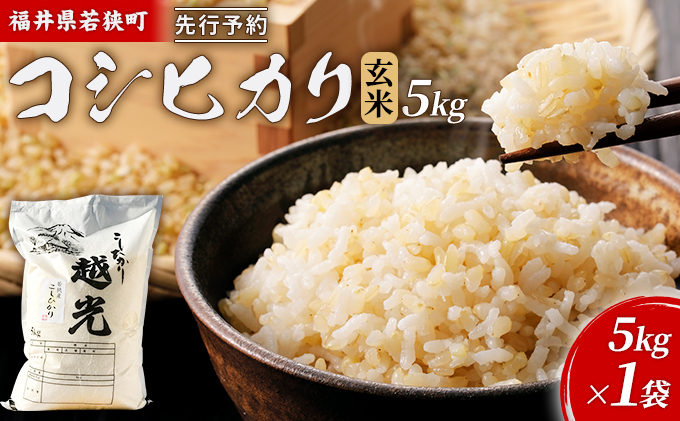 令和5年産福井県若狭町コシヒカリ（一等米）玄米　5kg（神谷農園） 5kg×1袋