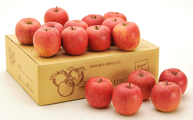 信州小諸　松井農園のサンふじ　約5kg 果物類・林檎・りんご・リンゴ