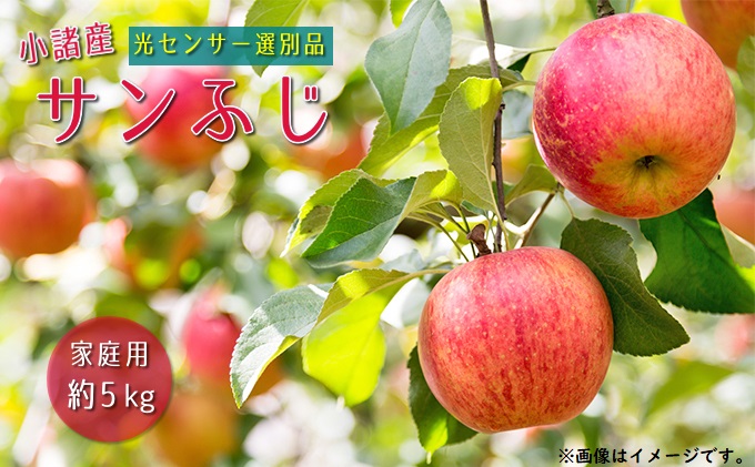 紀州和歌山産の桃 約1.8kg 化粧箱入 ※2023年6月下旬頃〜8月中旬頃順次発送（お届け日指定不可）｜ふるラボ