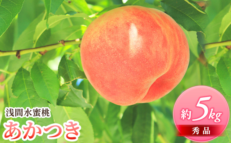 浅間水蜜桃 みつおかの もも あかつき 秀品 約5kg 長野県産 小諸市 桃 果物｜ふるラボ